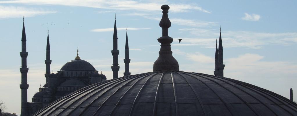 Sinan Mucur  / pixelio.de Sinan Mucur  / pixelio.de