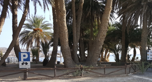VAI - Der Palmenstrand VAI