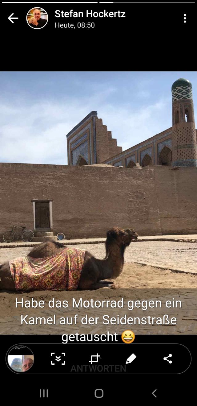 kamel